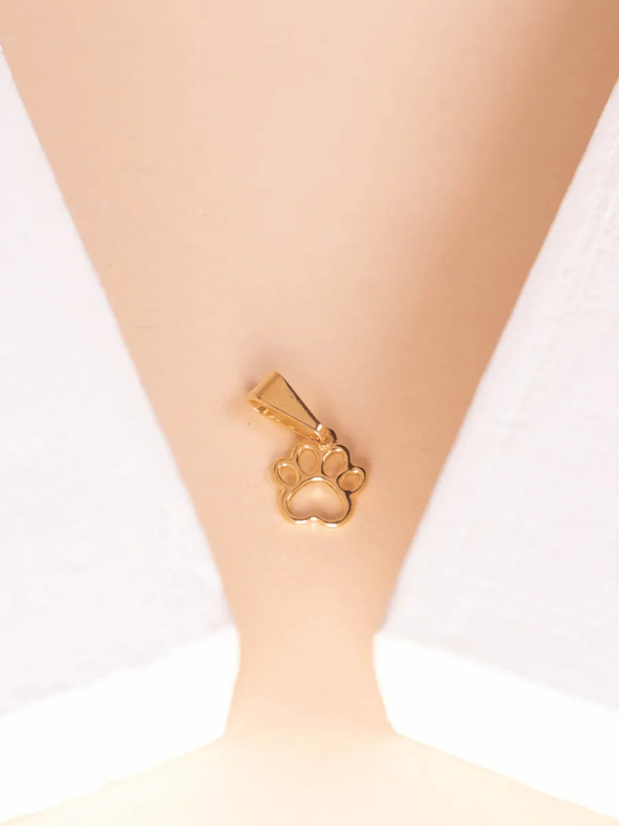 Dije Mini Huella perrito