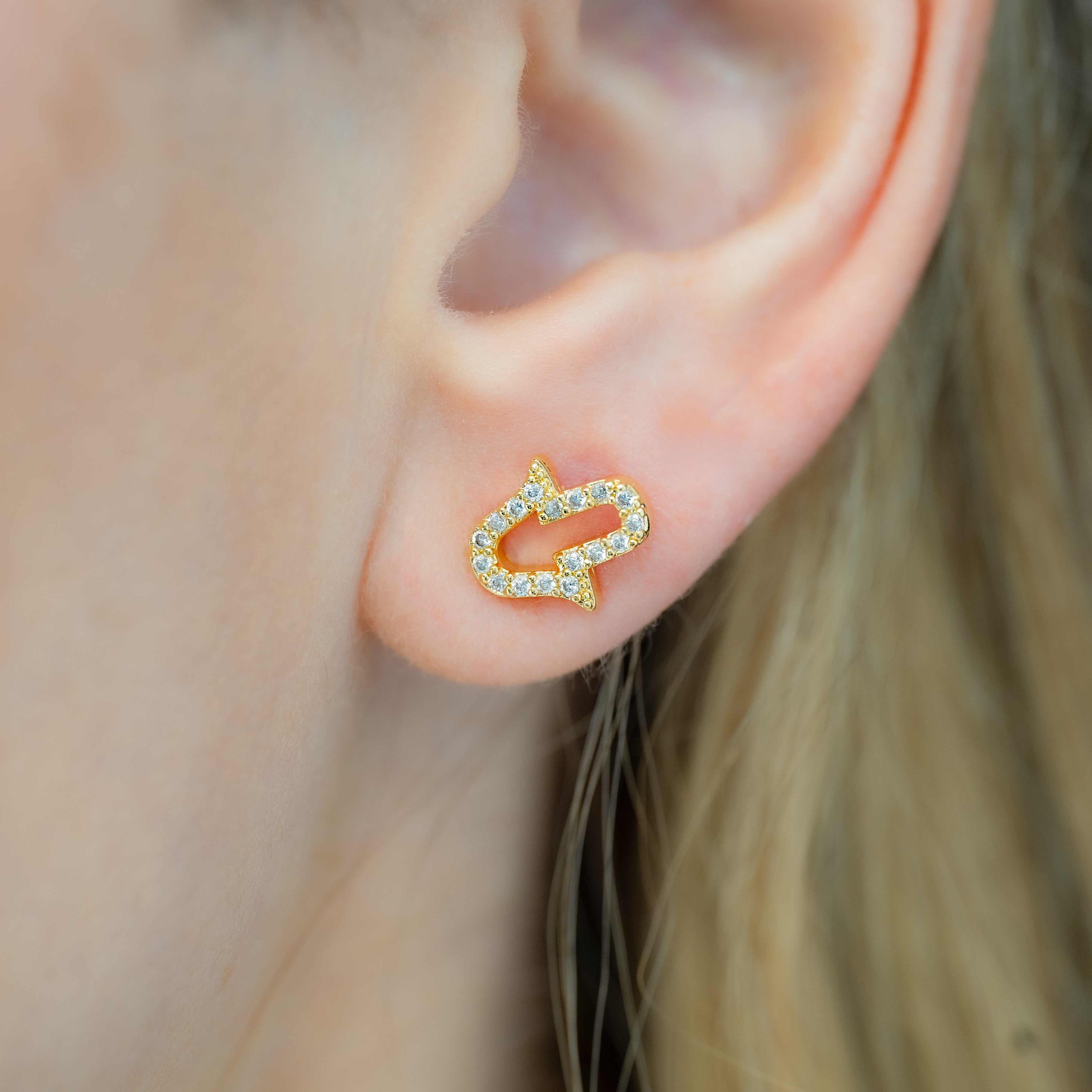 Arete mano Hamsa Circonias