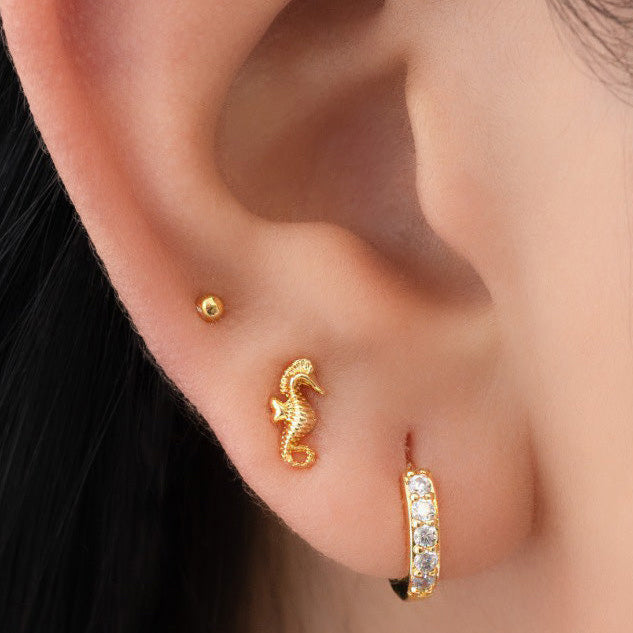 Arete Caballito de Mar