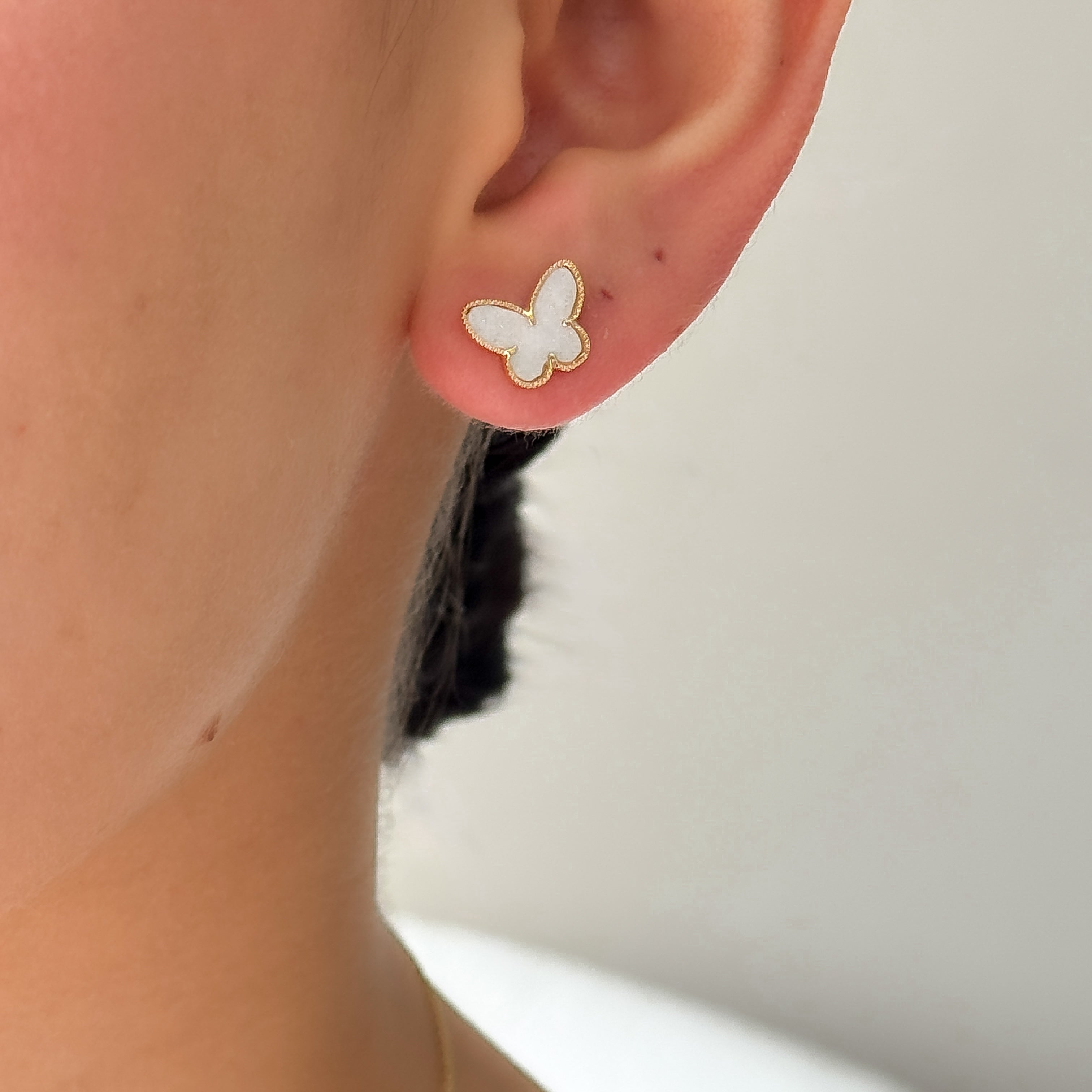 Arete topo mariposa recina